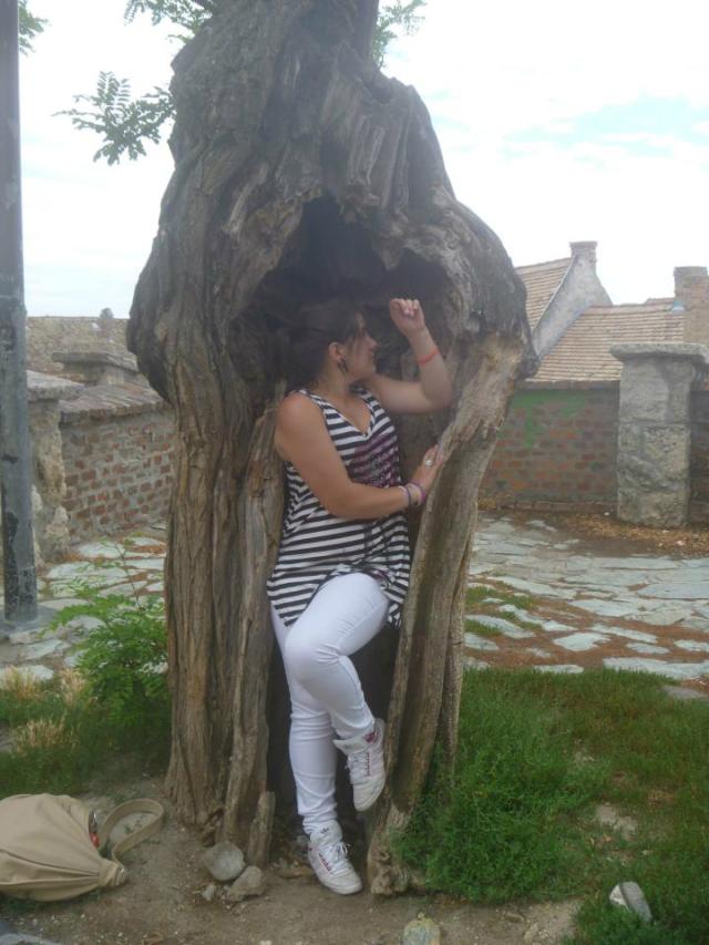 Wpis najaranadevilkax33