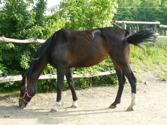 Wspomnienia ;/