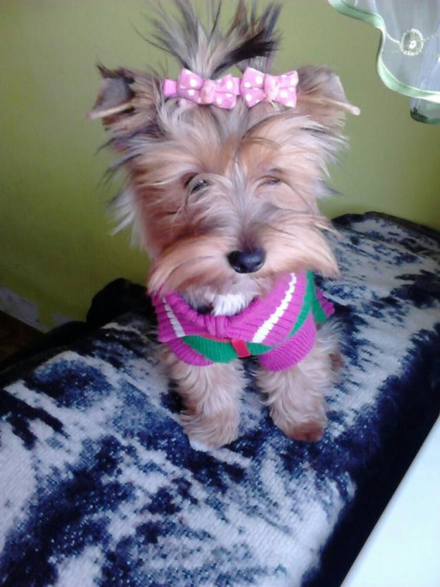 Lusia