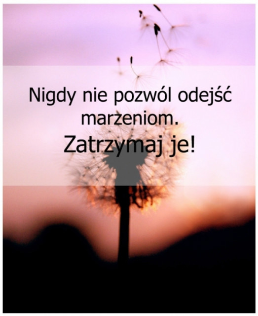 Wpis hiddendreams2013