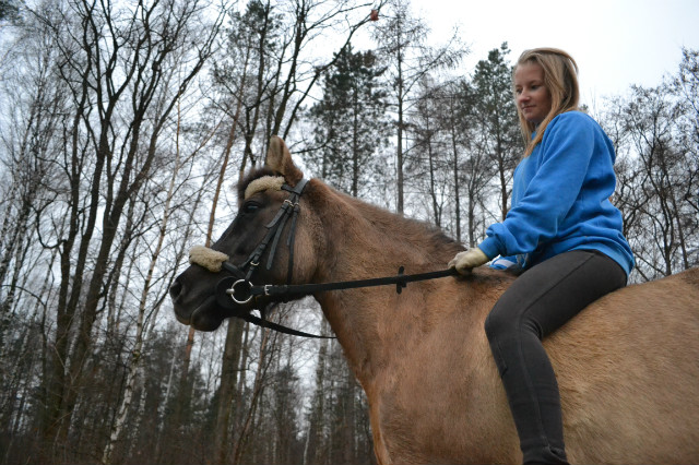 Wpis horsessworldss