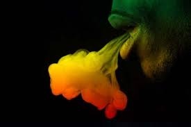 Wpis rastafarianie36