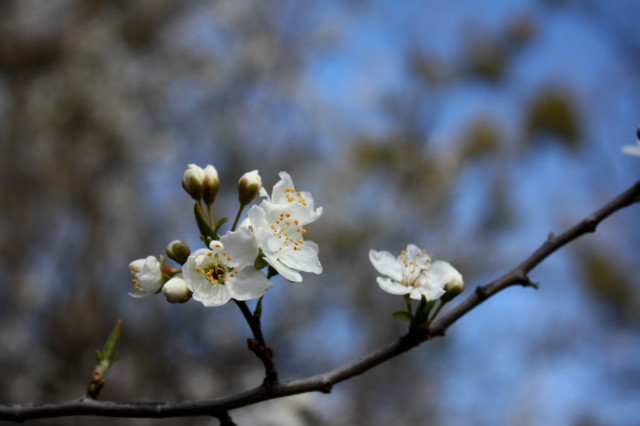 Spring, where are you?