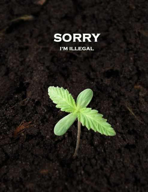 Legalize it!