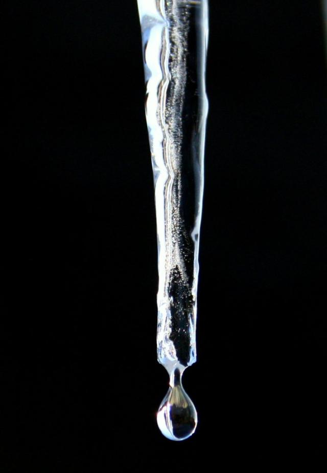 1. 
