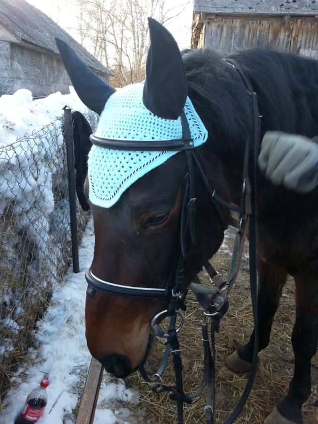 Wpis followyourhorse