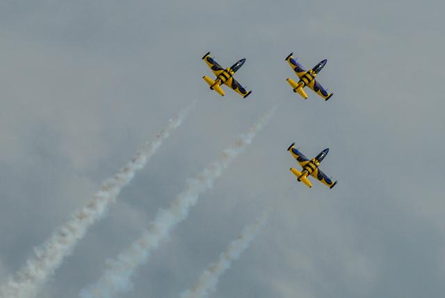 Baltic Bees