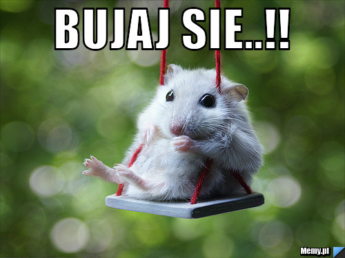 Dwa sowa ale ile znacz !!!