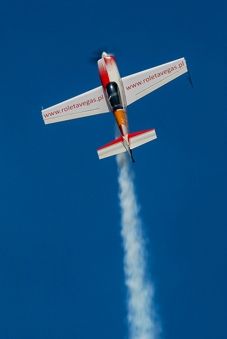 Extra 300L