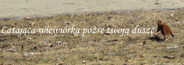 Urodzinowe cytaty 1