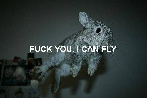 Dreams !