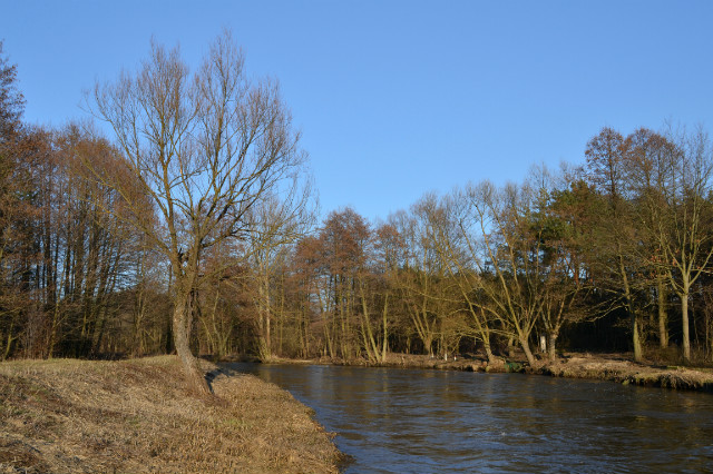 Wpis klaudiacwiek