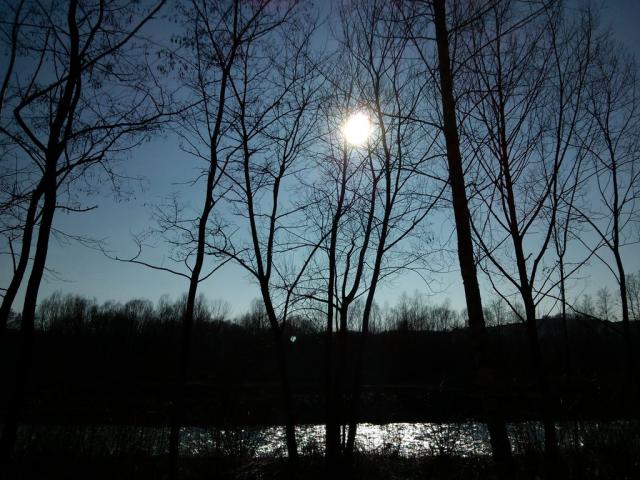 Wpis photoobservation