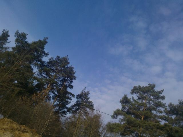 Nowe Gorzycko 2013