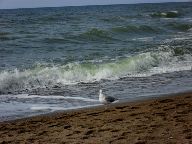 Wrzesie 2012