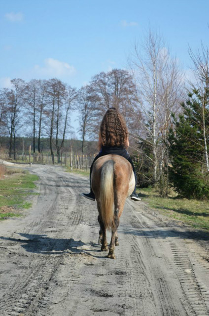 lovelovelove
