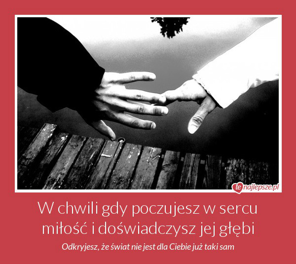 Wpis hiddendreams2013