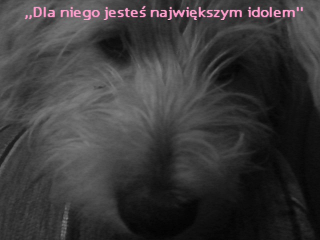 Wpis orzelekreszka