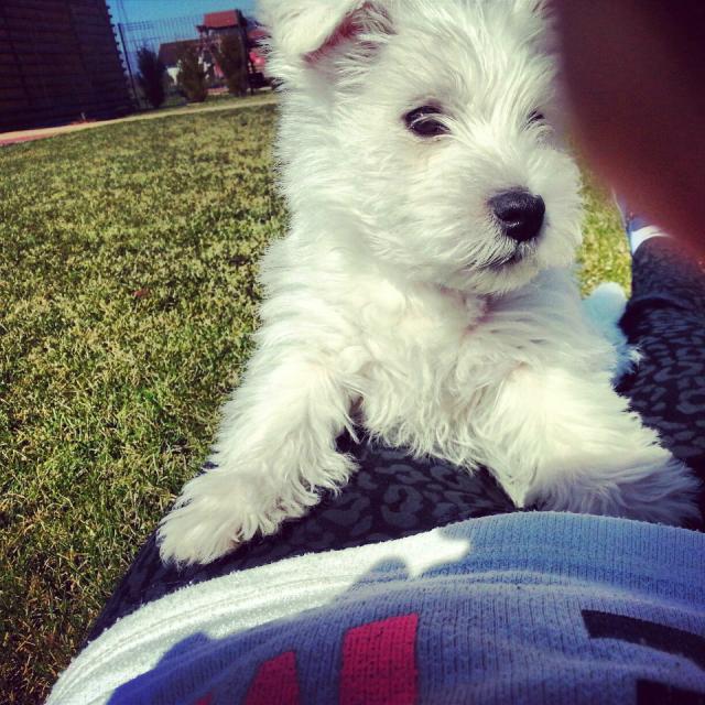 CHLOE