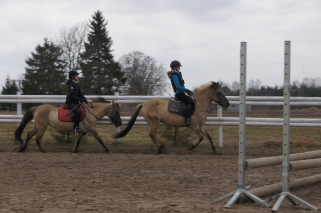 Galop ! :)