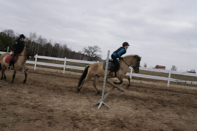 Hops :)