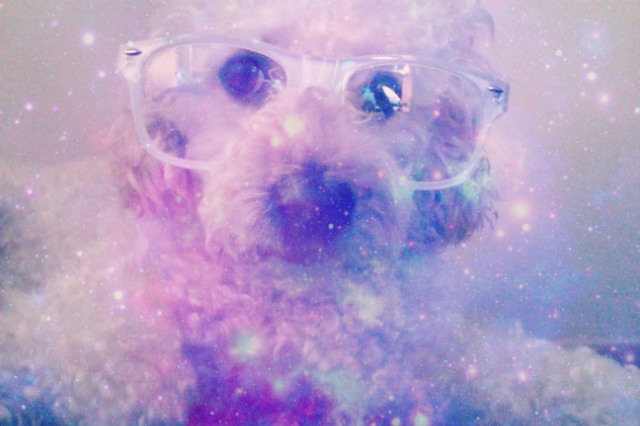 Milka :*