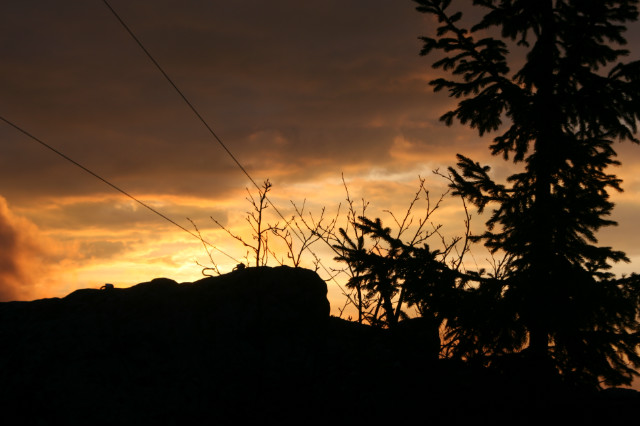 Wiosna.