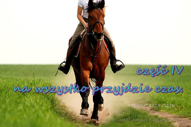 Wpis ridinggg