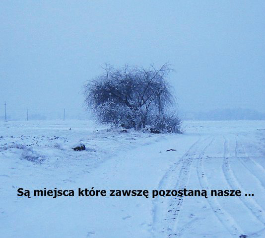 Wpis sercenadloni