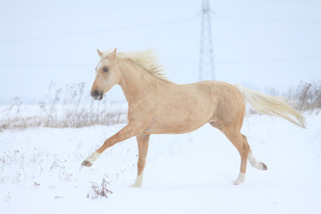 Ontario