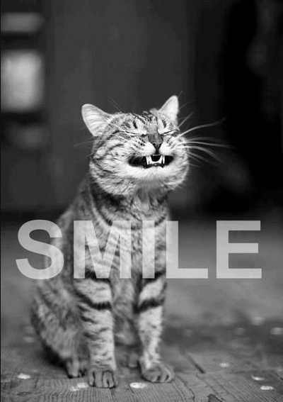 `just smile 