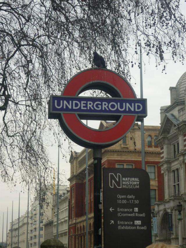 UNDERGROUND