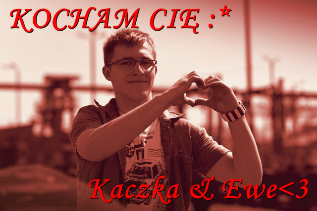 Wpis kaczka9023
