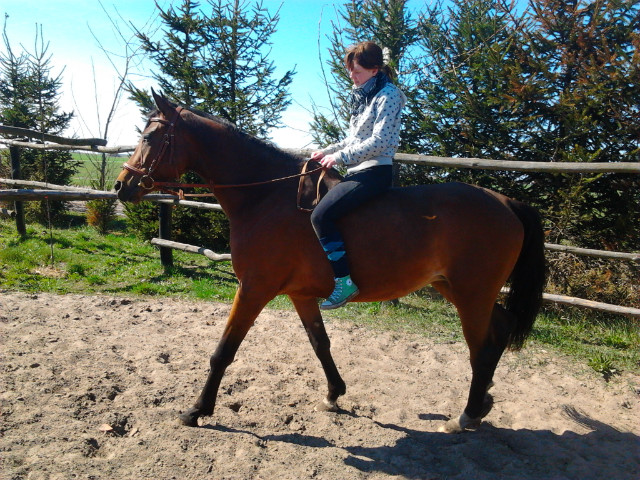 Pianellooowaaa :**