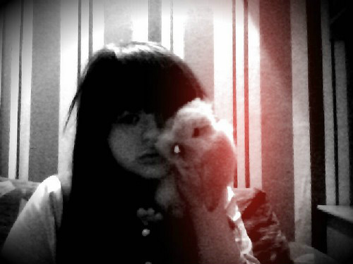 ALx2