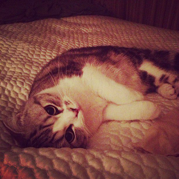 Meredith, z fb Taylor 