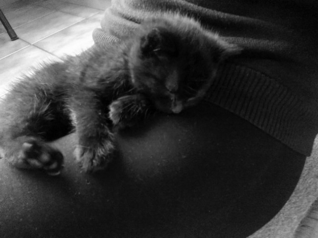 MY LITTLE HEART