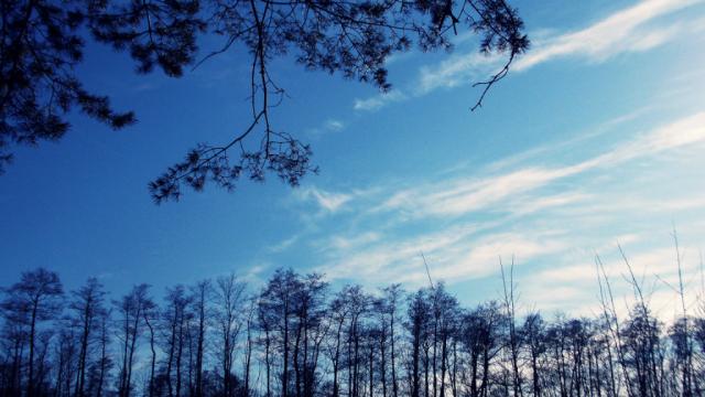Wpis werphotoo11