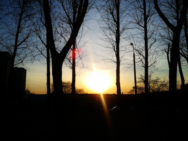 sunset