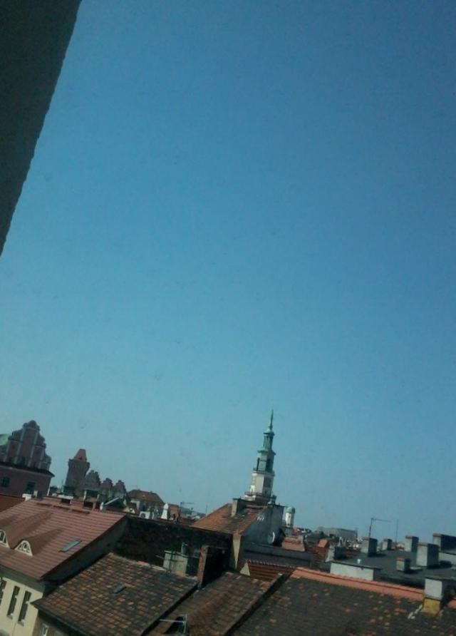 Wpis prawdepowiedziafszy