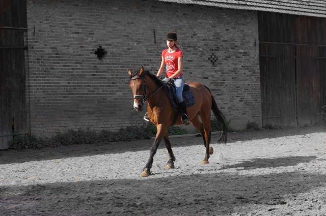 STEFEK ;)