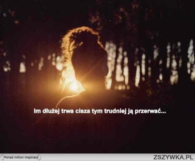POCZTEK KOCA