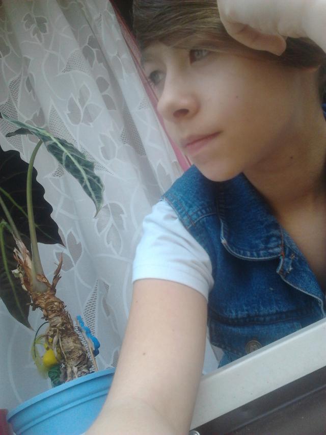 widzisz.... ; /