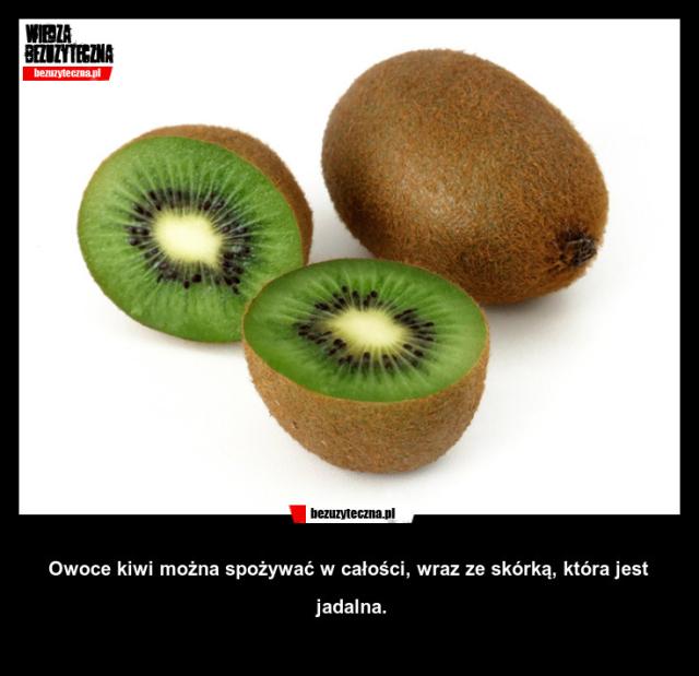 kiwi