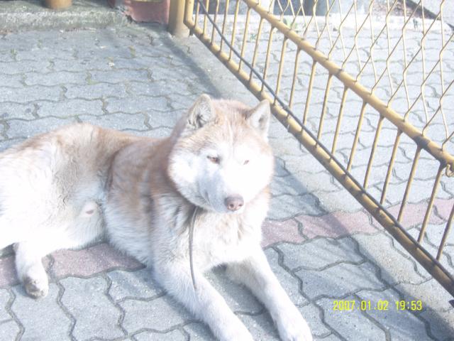 Bandi &#9829;