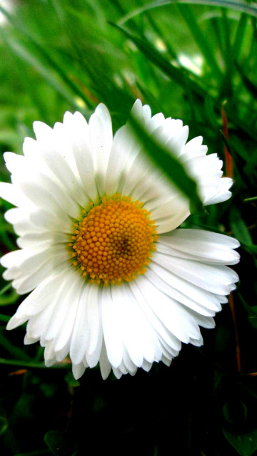 Wpis photographyagatacz