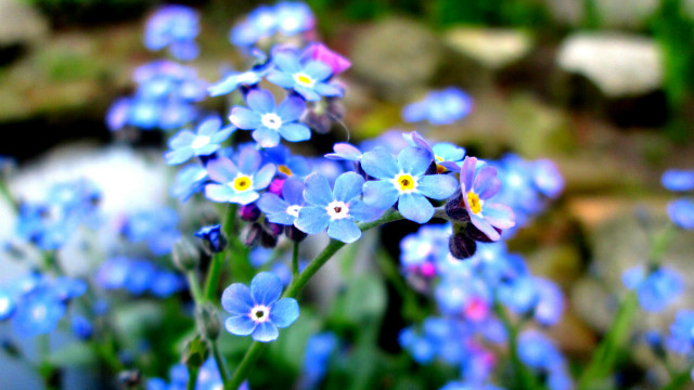 Wpis photographyagatacz