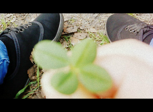clover. 