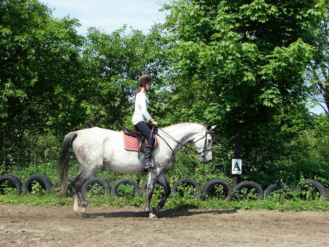 Celimena
