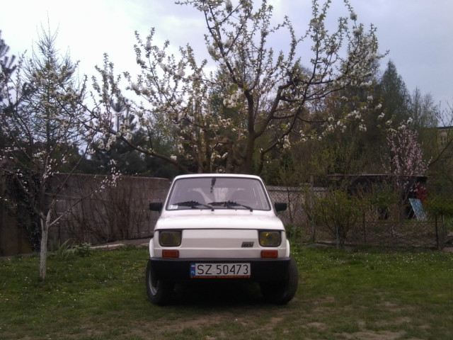 Wpis michu126p